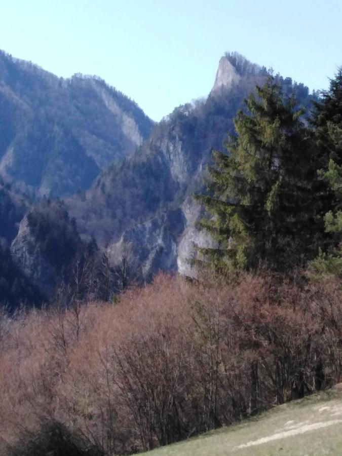 Chata Holica Pieniny Lesnica 외부 사진