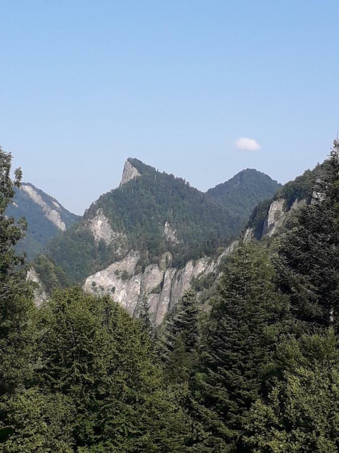 Chata Holica Pieniny Lesnica 외부 사진