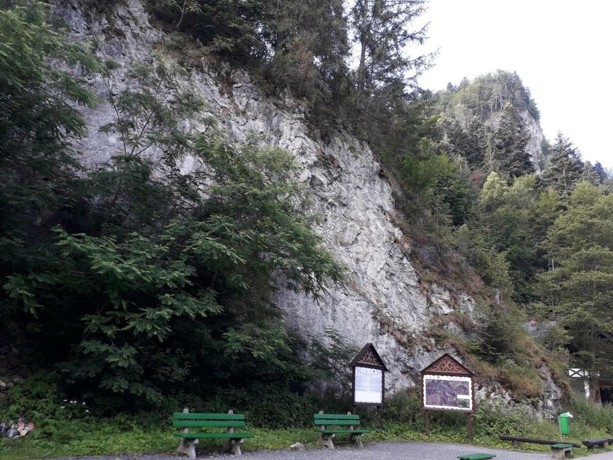 Chata Holica Pieniny Lesnica 외부 사진