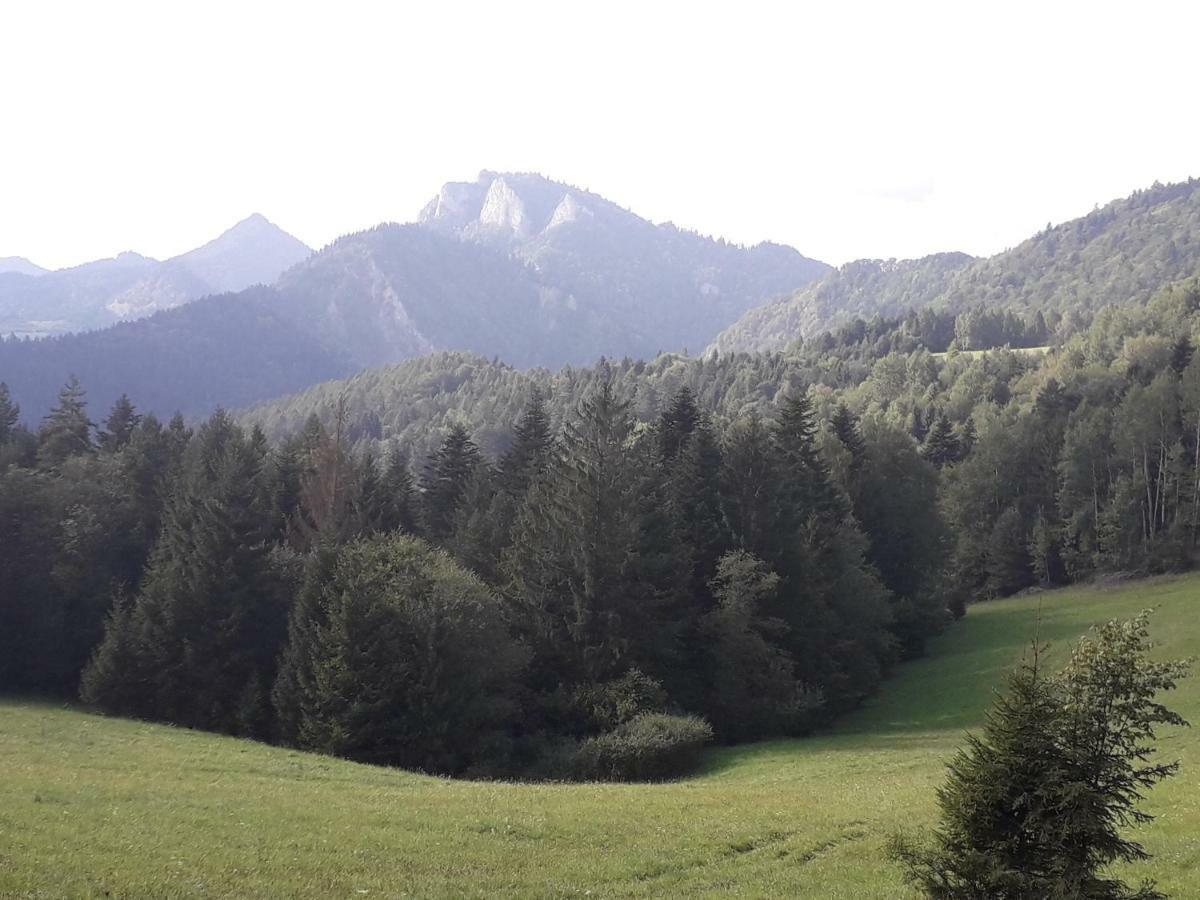 Chata Holica Pieniny Lesnica 외부 사진